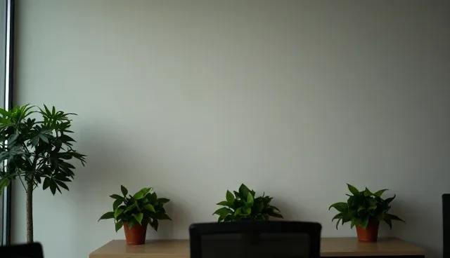 商务服务套餐在效率提升中的适用情况与限制